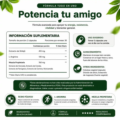 Haz Que La Paloma Se Levante y Rinda Como Nunca 🕊️